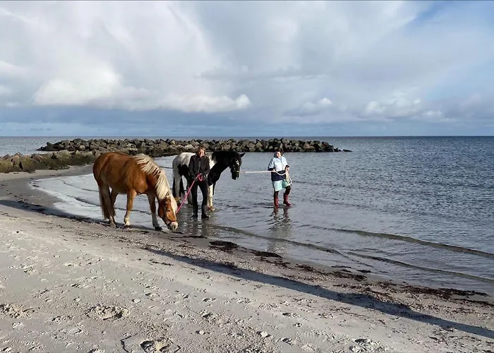 Ferienwohnung-gelb Lägenhet Schonberger Strand